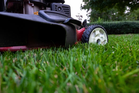 🌱 Your Lawn Called… It Wants Weekly Care (and It’s Getting Judgy)